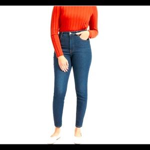 NWT Everlane High Rise Skinny Jean 27 Tall